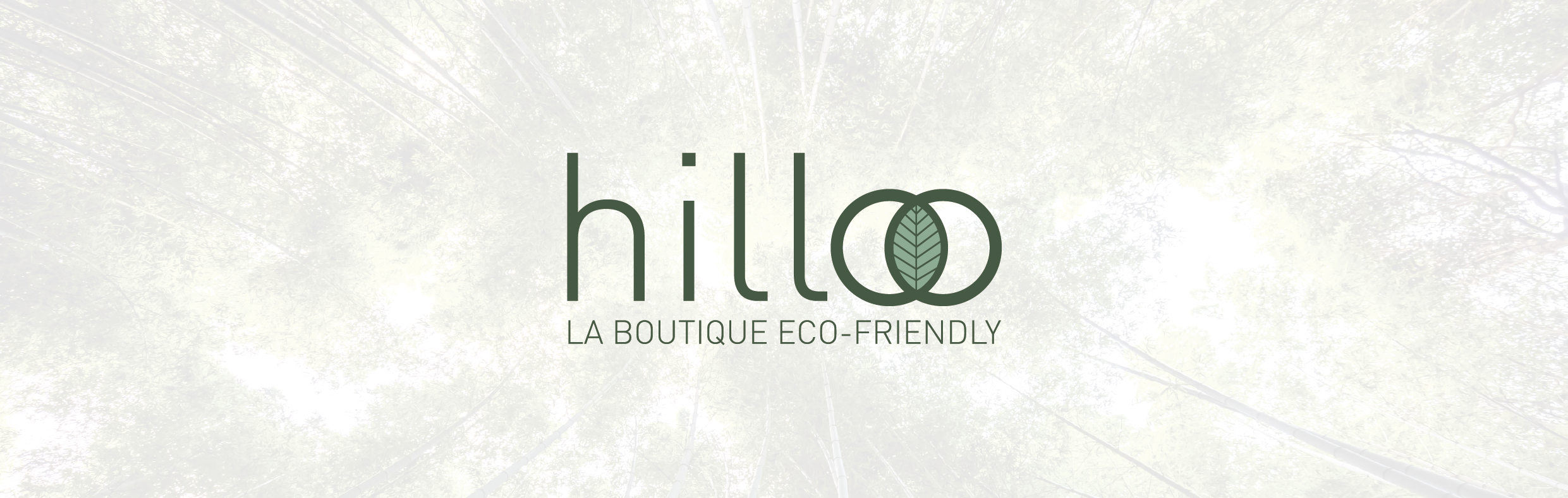 presentation boutique en ligne eco responsable logo Hilloo communication publicite